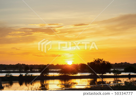 Sunset in the lake. beautiful sunset behind the 50334777