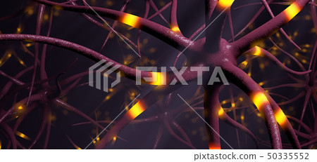 Closeup on transmitting brain cells or neuron  50335552
