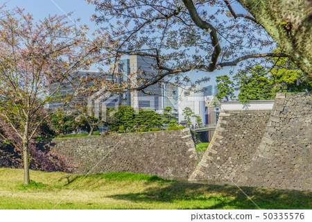 Landscape of the Edo Castle spring and Hokuto Bridge Gate Landscape of the Edo Castle spring and Hokuto Bridge Gate 50335576