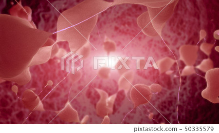 Neurons sending pulsating electric impulses 50335579