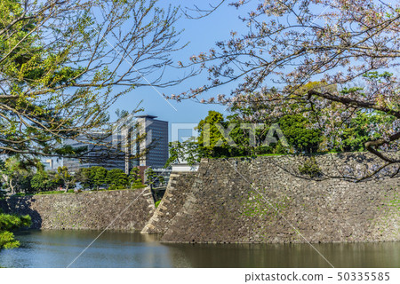 江戶城堡春天和北斗橋門的風景 50335585