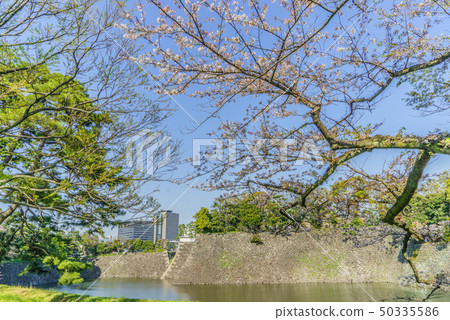 江戶城堡春天和北斗橋門的風景 江戶城堡春天和北斗橋門的風景 50335586