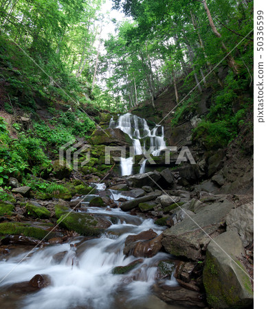 Woodland Stream. Woodland Stream. 50336599