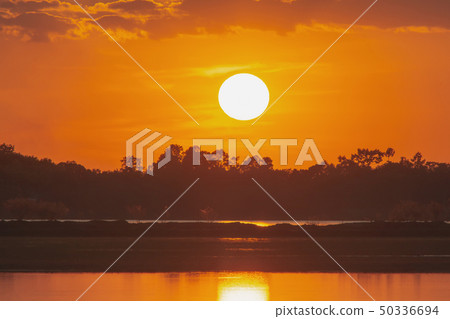Sunset in the lake. beautiful sunset behind the 50336694