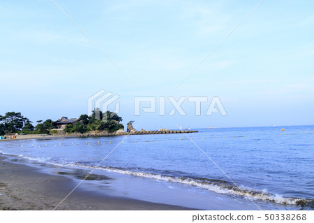 葉山（夏天） 50338268