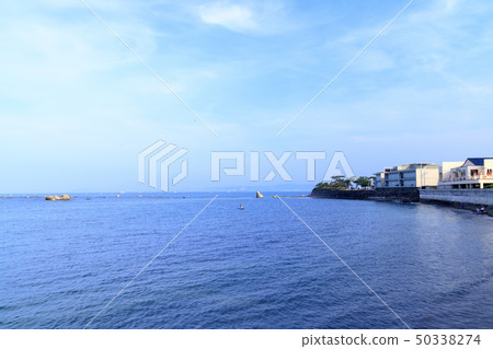 葉山（夏天） 50338274