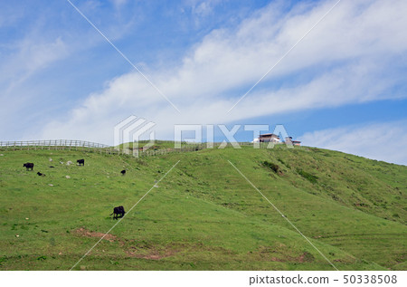 放牧Oki Chihusato島的風景 50338508