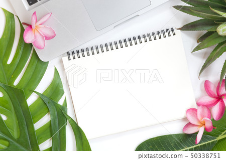 Tropical top view summer botanical concept still Tropical top view summer botanical concept still 50338751