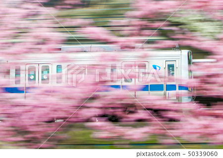 小田急線2000 50339060