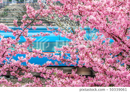 小田急線浪漫車MSE 60000 50339061