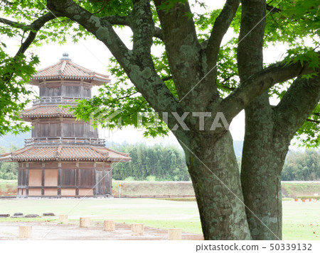 新Midori Tochijo 新Midori Tochijo 50339132