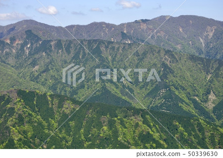 新澤西的丹澤酋長 新澤西的丹澤酋長 50339630