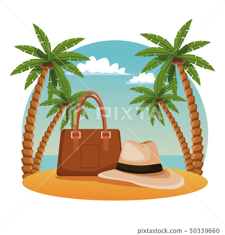 Beach and summer Beach and summer 50339660