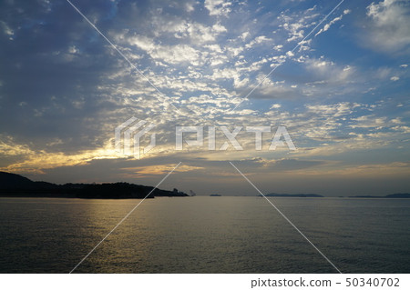 It's morning-1000 species river mouth It's morning-1000 species river mouth 50340702