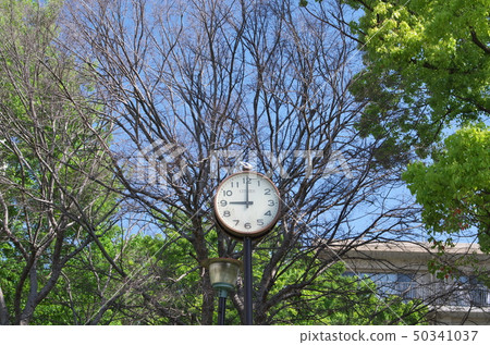 [9:00] 戶外桿式時鐘 50341037