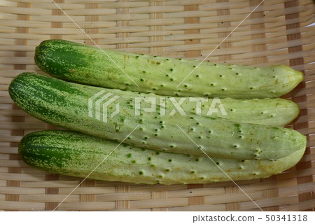 黃瓜半白色黃瓜 50341318