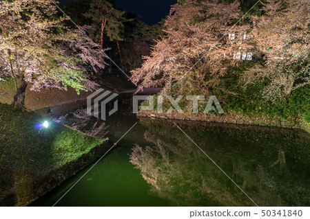 A scene from Hirosaki Castle cherry blossoms Ohashi Bridge light up 50341840