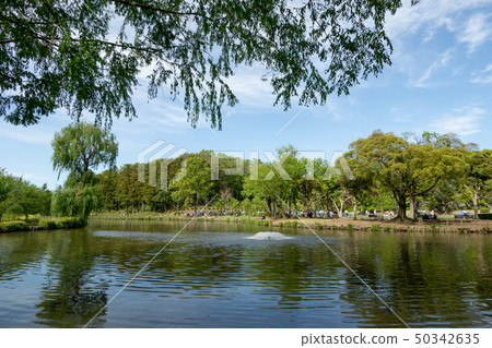 Ageo Maruyama Park 50342635