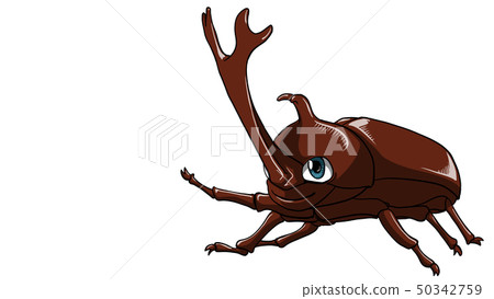 Beetle male character white background 16: 9 50342759