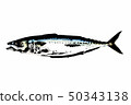 Mackerel 50343138