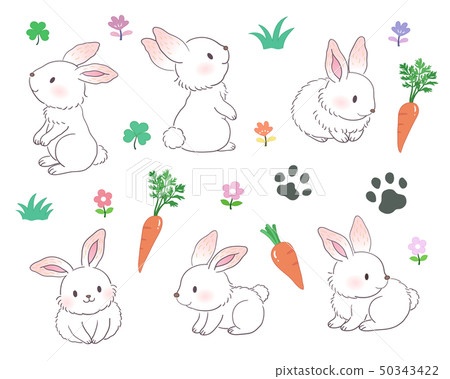 Various poses of rabbits, and carrots and footprints 50343422