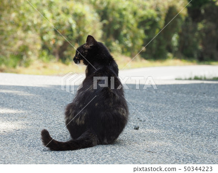 惡意噓聲，後面看法 50344223