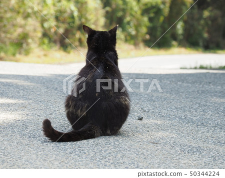 惡意噓聲，後面看法 50344224