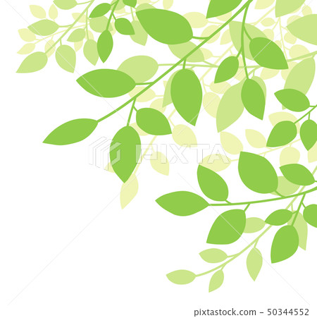 葉背景 插圖素材 圖庫 葉背景 插圖素材 圖庫