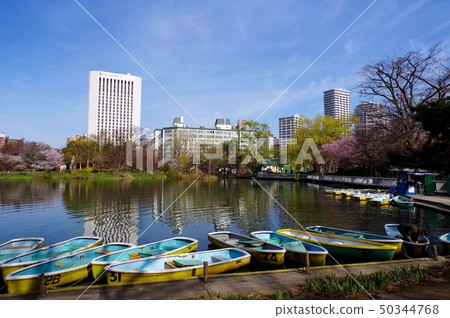 Nakajima Park in spring (Hokkaido Sapporo City) 50344768