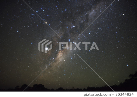 Scorpio and the Milky Way 50344924