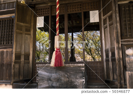 Cherry blossoms at Katsujoji 50346877