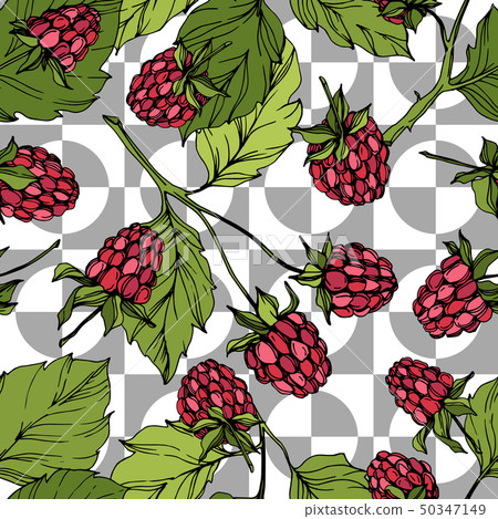 Vector Raspberry healthy food isolated. Red and green engraved ink art. Seamless background pattern. 50347149