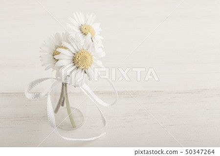 daisy flowers in a vase on wooden background 50347264