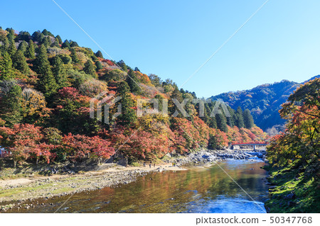 秋葉愛知縣 50347768