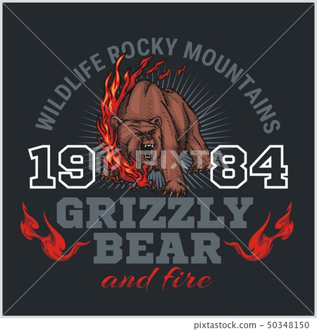 grizzly bear and fire, emblem elements - vector illustration grizzly bear and fire, emblem elements - vector illustration 50348150