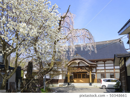 Matsutsuji Temple(秋田縣Senhoku City)位於Kakudate Matsutsuji Temple(秋田縣Senhoku City)位於Kakudate 50348661