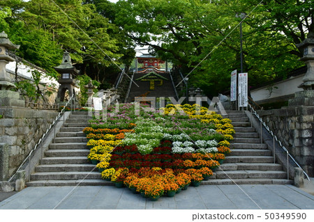 防府Tenman-gu，Sandon Dewa花卉人物 50349590