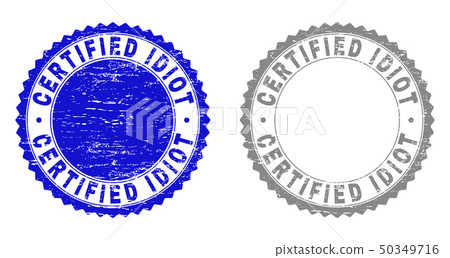 Grunge Certified Idiot Scratched Stamps Stock Illustration Pixta