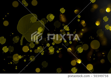 Colorful gold bokeh background of Christmas lights Colorful gold bokeh background of Christmas lights 50349738