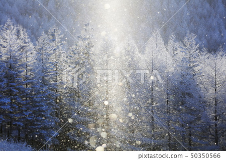 Kirigamine fog ice and diamond dust and sun pillar 50350566