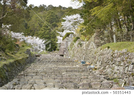 [滋賀縣近江八man市]安土城遺址 50351443