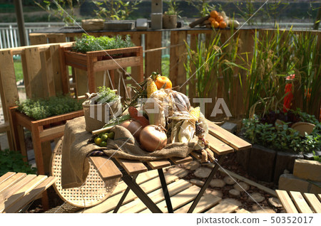 Farming garden 50352017