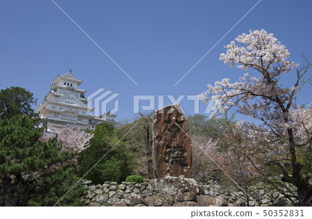 兵庫縣姬路市:姬路城和虎門(櫻花) 兵庫縣姬路市:姬路城和虎門(櫻花) 50352831
