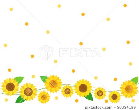 向日葵30 向日葵30 50354189