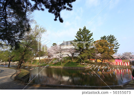 Kame城堡公園(土浦城)的櫻花 Kame城堡公園(土浦城)的櫻花 50355073