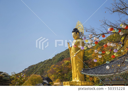 Legal history Legal history 50355228