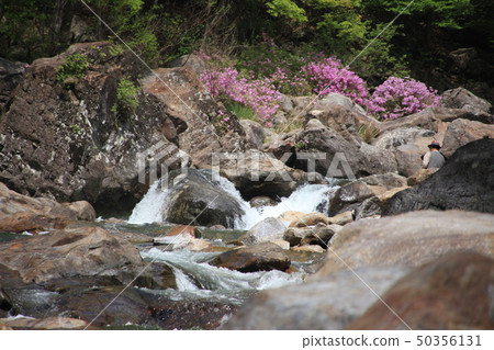 Mountain, valley, water, spring 50356131