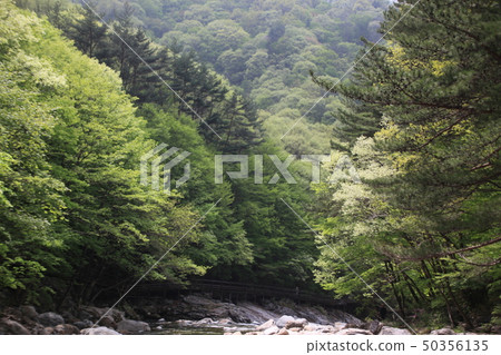 Mountain, valley, water, spring 50356135