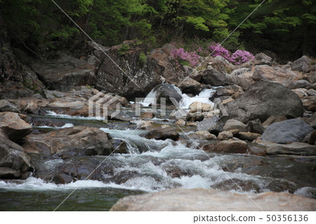 Mountain, valley, water, spring 50356136