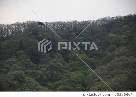 山,山谷,水,春天 山,山谷,水,春天 50356464